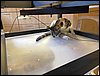 3d_045.jpg
